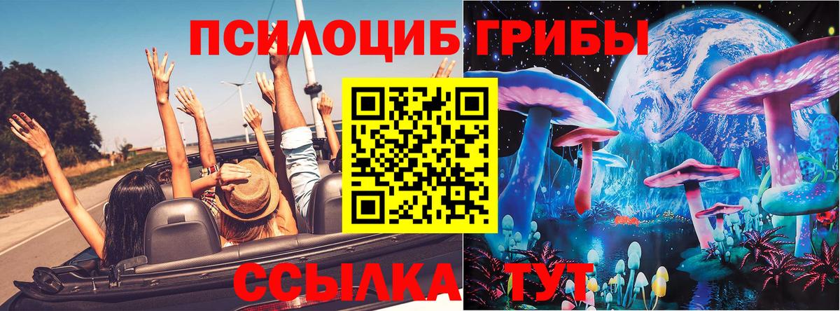 Псилоцибиновые грибы Psilocybe  Вход с VPN  Конаково  Псилоцибиновые грибы Psilocybe 